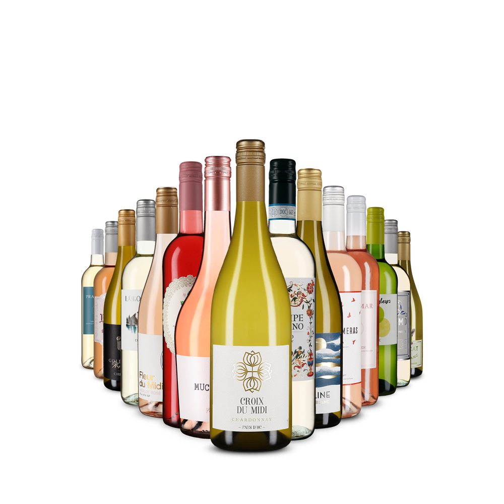 15x1 Varietà di vini bianchi e rosati: i nostri preferiti