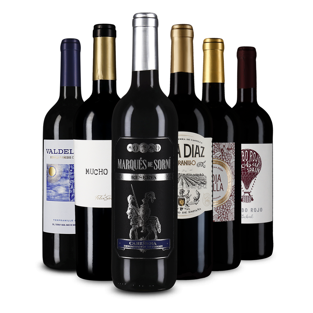 6x1 Selezione di vini rossi spagnoli a prezzo vantaggioso