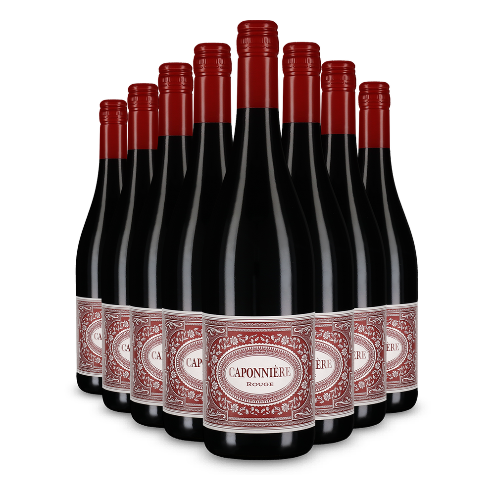 8x Rosso 2024