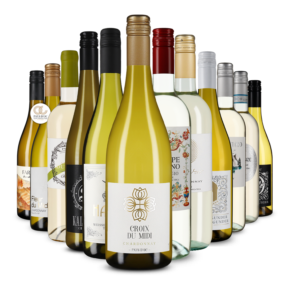 12x1 Varietà internazionale di Pinot per l'autunno
